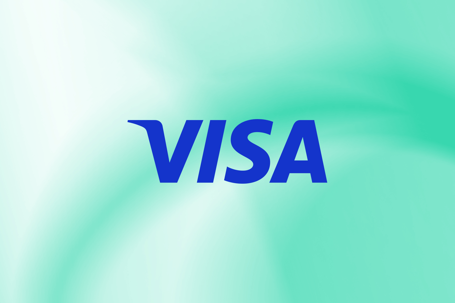 카드 네트워크 | Visa - Vol. 1 of 8